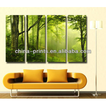 Wholesale Canvas Green Origin Forest Photo Prints for home improvement